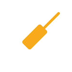 Condition Assessment Icon
