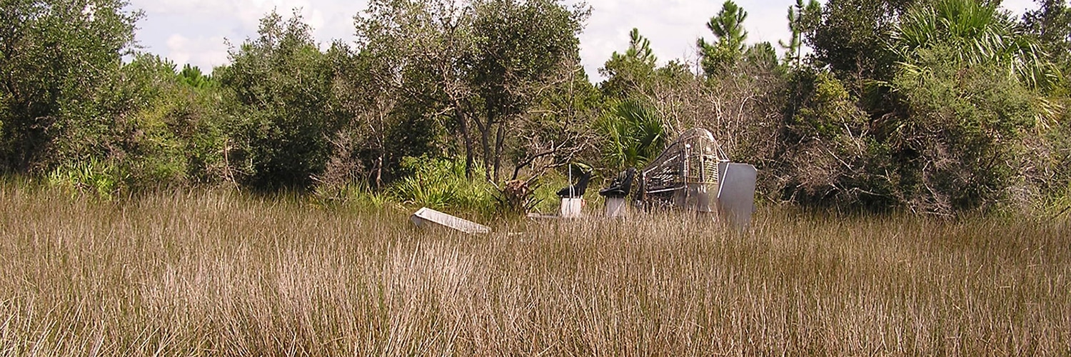 Swamp buggy in a swampy area with tall reeds and trees in the background